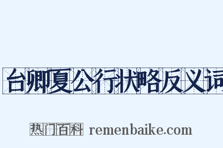 台卿夏公行状略反义词是什么意思的图片